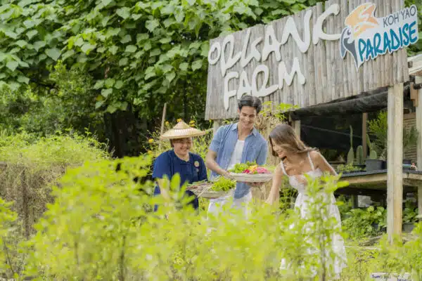 Onsite Activities 2 Organic Farm Tour 2