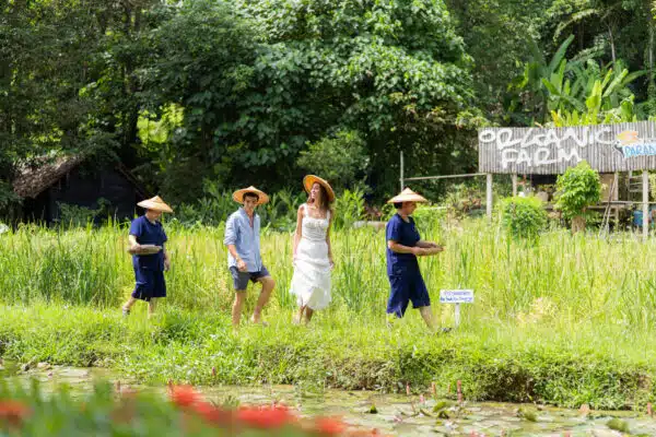 Onsite Activities 4 Organic Farm Tour 4