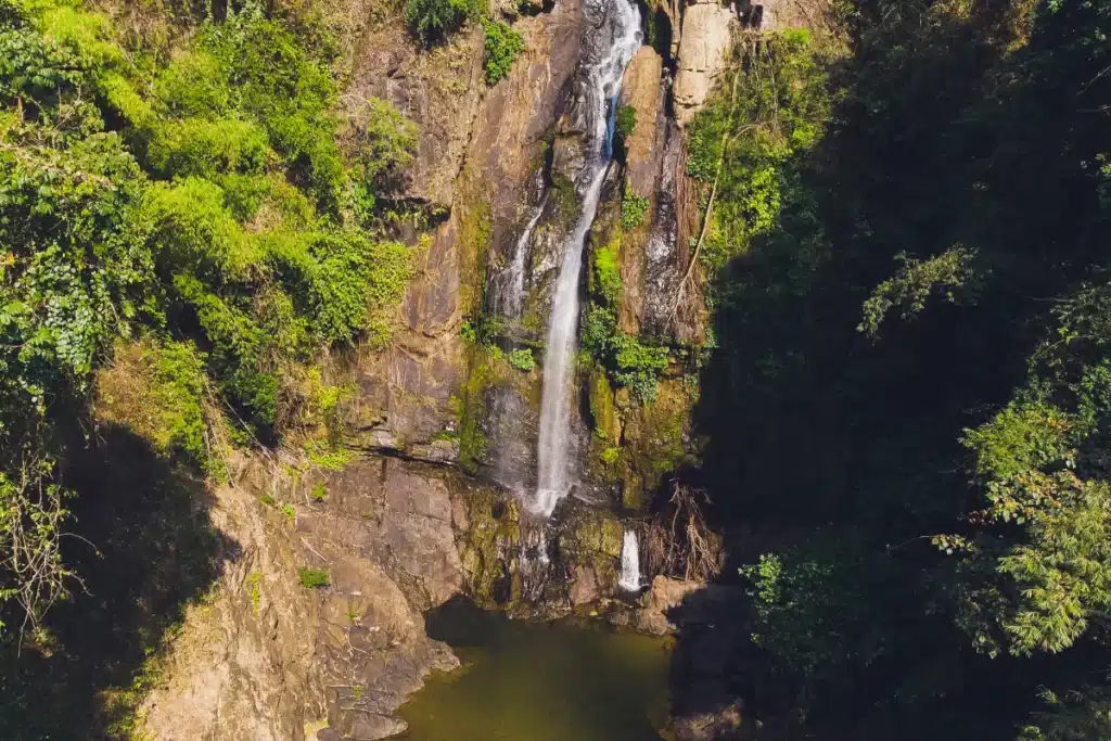 Discover the Untouched Beauty of Sri Phang Nga National Park’s Natural Trails 1 อุทยานแห่งชาติศรีพังงา เส้นทางศึกษาธรรมชาติที่สมบูรณ์