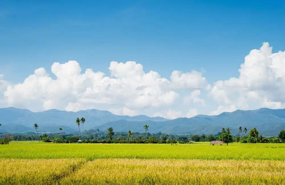 เกาะยาวน้อย เที่ยวเดือนไหนดีที่สุด อัปเดตปี 2566 5 หนำ นาทอน